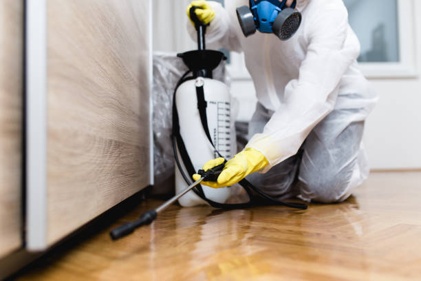 Insect Control in Gulfport, MS